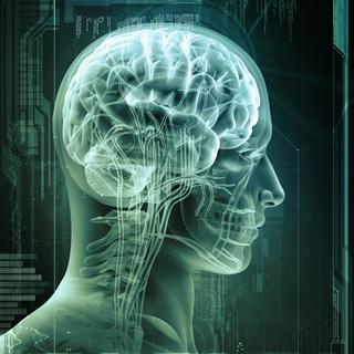 L'EPFL veut construire un ordinateur capable de simuler le fonctionnement du cerveau humain. [adimas]