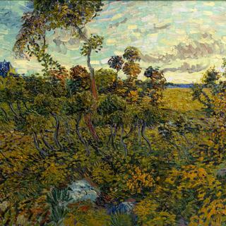 Le tableau "Coucher de soleil à Montmajour" de Van Gogh a été dévoilé lundi 9 septembre 2013 au Musée Van Gogh à Amsterdam. [Peter Dejong]