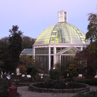 Serre du Conservatoire et Jardin botanique de Genève. [Manuella Maury]
