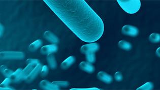 Accroche microbes [© Fotolia - martanfoto]