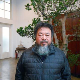 Ai Weiwei, photographié début mars 2013 dans son atelier de la banlieue de Pékin. [Alain Arnaud.]
