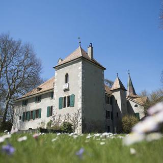 La vente du mobilier du château de Gingins a rapporté 3,7 millions de francs. [Jean-Christophe Bott]