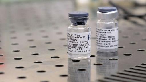 Des tubes contenant des vaccins en test contre le sida, le 29 janvier 2013 à Marseille