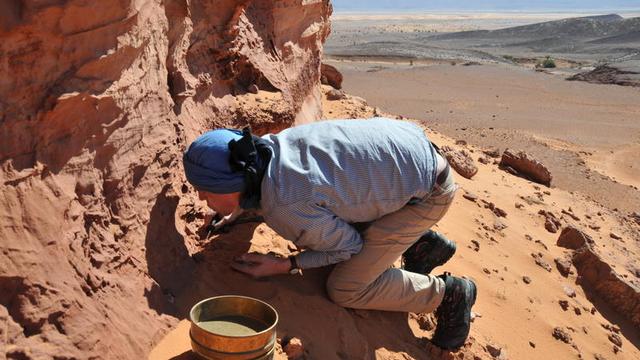 Une équipe de paléontologue du muséum d’histoire naturelle de Genève dans le sud est marocain (2012) [Muséum d’histoire naturelle de Genève - Philippe Wagneur]