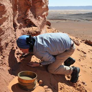 Une équipe de paléontologue du muséum d’histoire naturelle de Genève dans le sud est marocain (2012) [Muséum d’histoire naturelle de Genève - Philippe Wagneur]