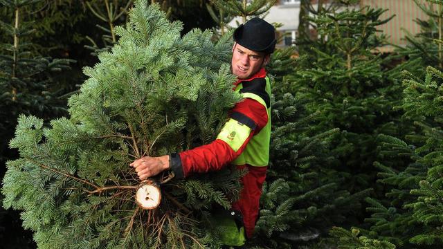 La Confédération ne subventionnera plus la production de sapins de Noël. [Steffen Schmidt]