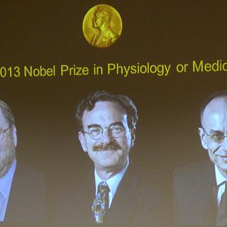 L'écran sur lequel se sont affichés les visages des prix Nobel de médecine 2013: Rothman (g.), Schekman (c.) et Südhof (d.). [Jonathan Nackstrand]