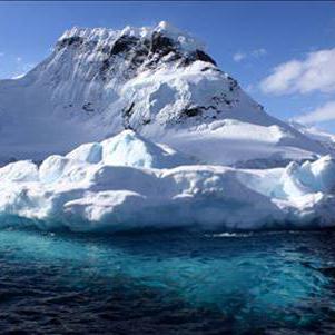 L'océan Antarctique est l'un des derniers écosystèmes inviolés de la planète. [Passe-moi les jumelles]