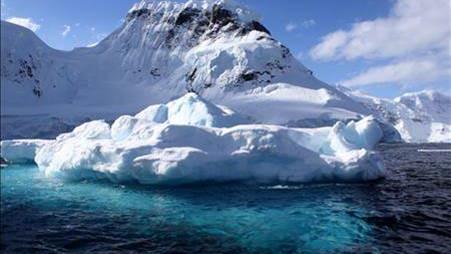 L'océan Antarctique est l'un des derniers écosystèmes inviolés de la planète. [Passe-moi les jumelles]