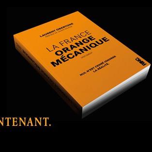 "La France orange mécanique" de Laurent Obertone.