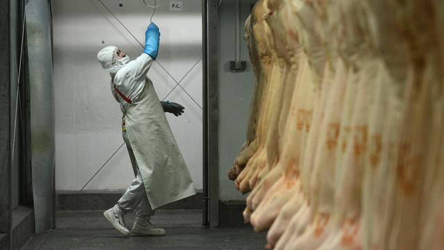 Un travailleur dans un entrepôt de viande de cheval roumain. [Daniel Mihailescu]