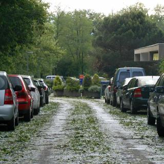 Arbres cassés et rues couvertes de feuilles après l'orage à Onex (GE) [Daniel Simon]