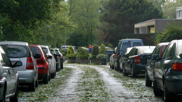 Arbres cassés et rues couvertes de feuilles après l'orage à Onex (GE) [Daniel Simon]