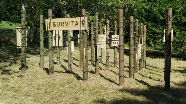 "Surviva" de Denis Roueche. [unil.ch]