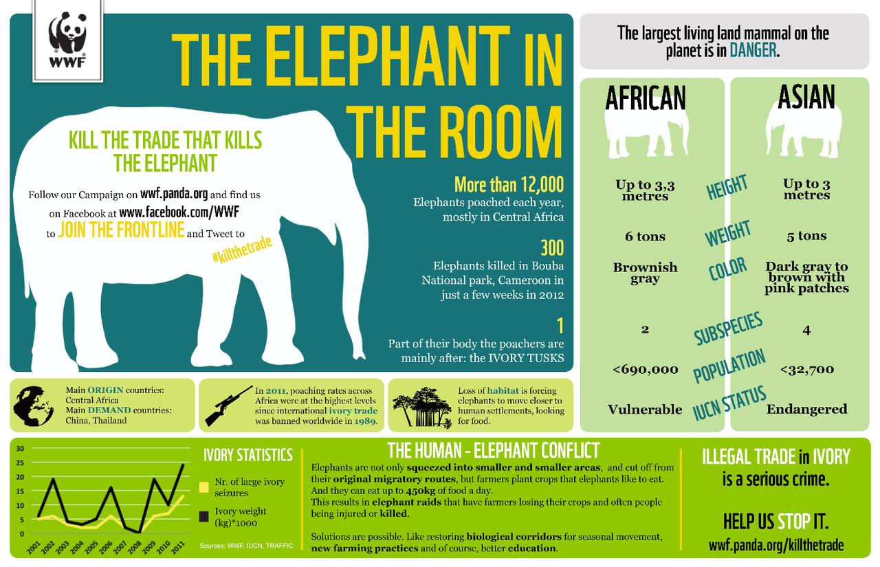 Infographie de sensibilisation du WWF pour la sauvegarde des éléphants. [WWF]