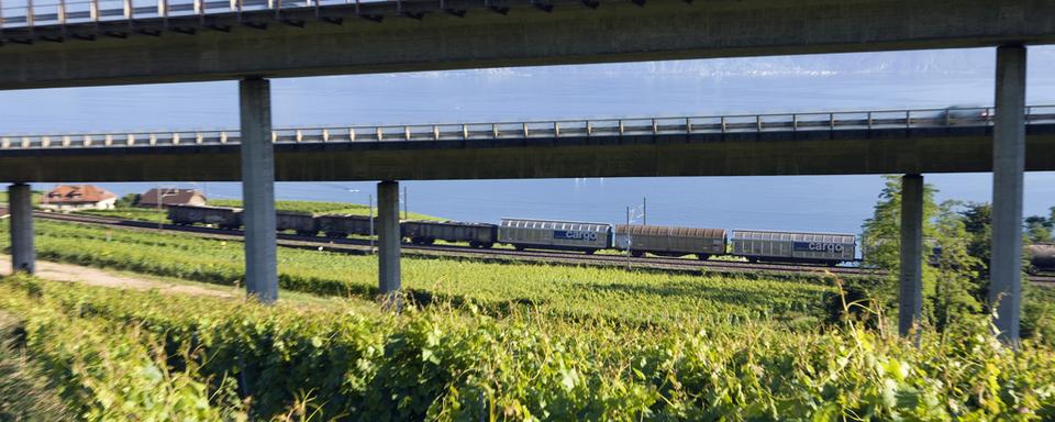 L'autoroute A9 et la ligne de chemin de fer dans la région vaudoise du Lavaux. [Martin Ruetschi]