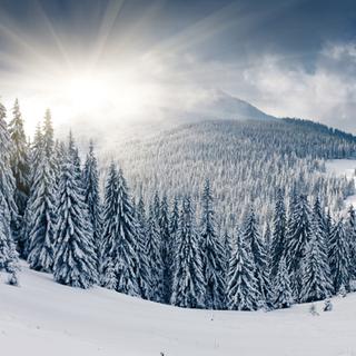 La réflexion par la neige peut presque doubler la force des rayons UV. [Leonid Tit]