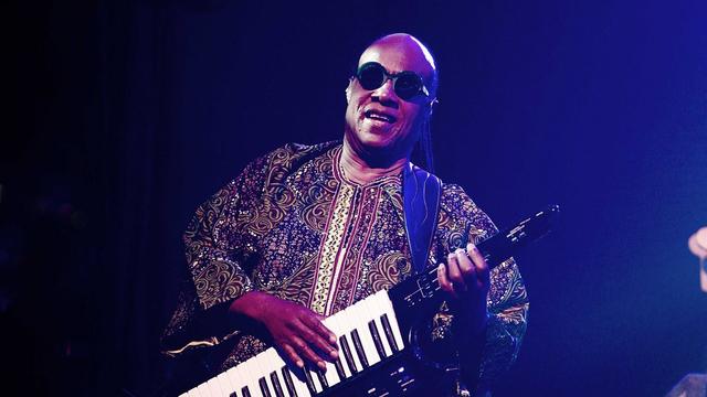 Stevie Wonder lors d'un concert à Rotterdam, aux Pays-Bas, le 12 juillet 2014.