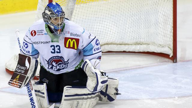 "Abby", ici lors d'un match avec Rapperswil aux Vernets, en décembre 2013. [Salvatore Di Nolfi]