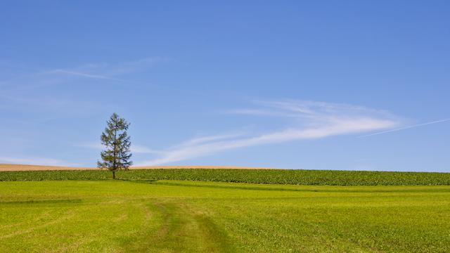 La campagne fribourgeoise dans les environs de Barberêche, vers 12h30. [DR - Vincent Adamo]