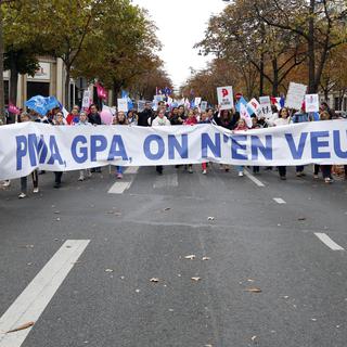 Les opposants de la "Manif pour tous" dans les rues contre la PMA et la GPA.