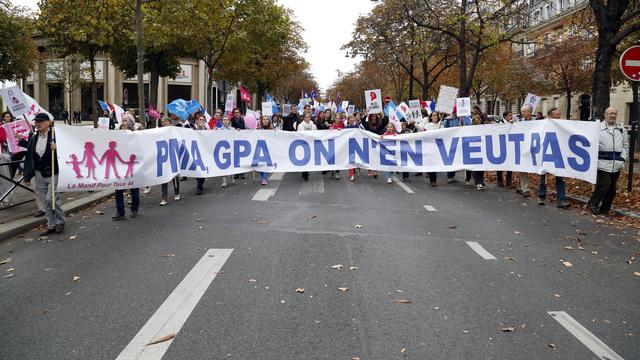 Les opposants de la "Manif pour tous" dans les rues contre la PMA et la GPA.