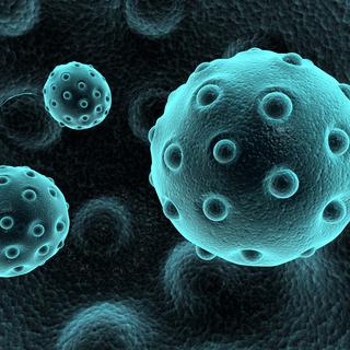 Le virus de la rougeole permettrait de guérir certaines formes de cancer. [cutimage]