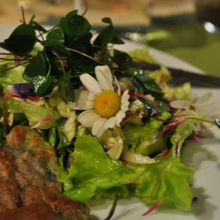 Une salade composée de plantes sauvages [cuisinevegetale.wordpress.com - Cecilia Viscarra]