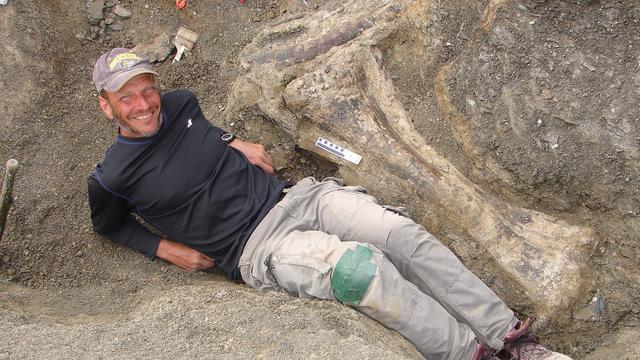 Le paléontologue Kenneth Lacovara pose à côté du tibia droit du Dreadnaughtus sur le lieu des fouilles en Patagonie.