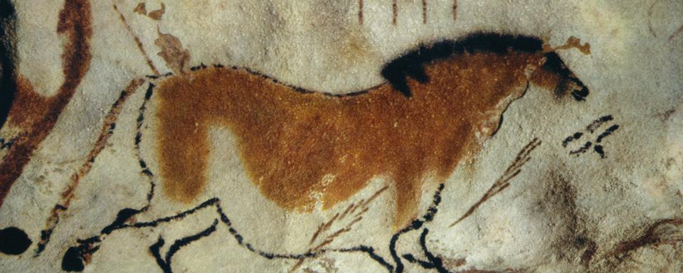 Une des peintures de la grotte de Lascaux. [Robert Harding Productions / AFP]