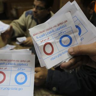 Les Egyptiens ont voté pour la nouvelle Constitution à une écrasante majorité. [AP Photo/Amr Nabil]