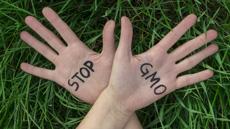 STOP OGM [© nenadmilosevic]