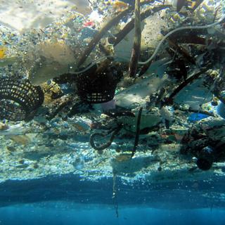 Des centaines de milliers de tonnes de plastique flottent à la surface des océans. [AP Photo/NOAA Pacific Islands Fisheries Science Center]