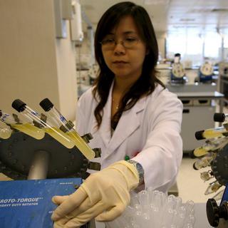 Asie Chine laboratoire recherche science scientifiques