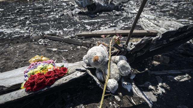 Fleurs et ours en peluche en hommage aux victimes sur les lieux de l'accident de l'avion de la Malaysian Airlines en Ukraine. [Bulent Kilic]