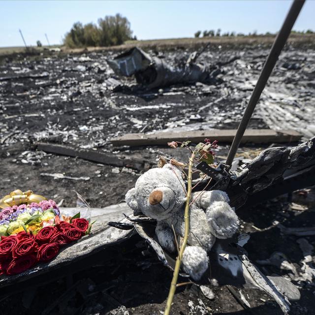 Fleurs et ours en peluche en hommage aux victimes sur les lieux de l'accident de l'avion de la Malaysian Airlines en Ukraine. [Bulent Kilic]
