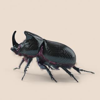 "Rhino Beetle", l'une des photographies issue de l'exposition de Vincent Fournier. [images.ch - Vincent Fournier]