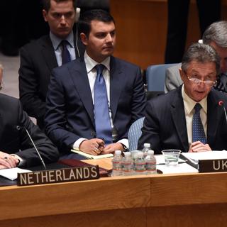 Le Conseil de sécurité de l'ONU s'est réuni en urgence dans la nuit de dimanche à lundi. [Don Emmert]