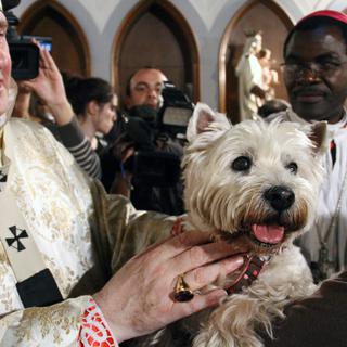 L'église Sainte-Rita à Paris accueille tous les dimanches de nombreux fidèles accompagnés de leurs animaux. [Citizenside - François Loock]