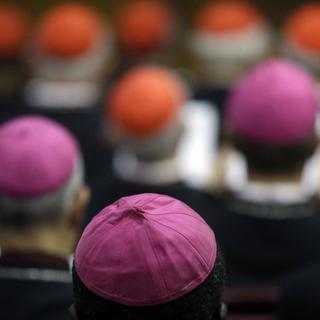 L’Eglise catholique affiche ses divisions sur les questions de la famille [AP Photo/Gregorio Borgia]