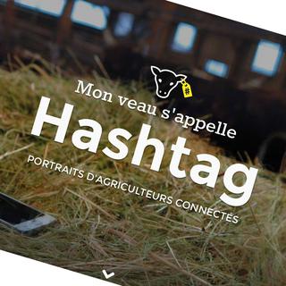 Capture d'écran du webdoc "Mon veau s'appelle hashtag " de France Info. [France Info]