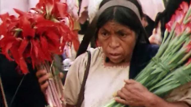 Les marchés indiens du Chiapas, un spectacle chatoyant.
