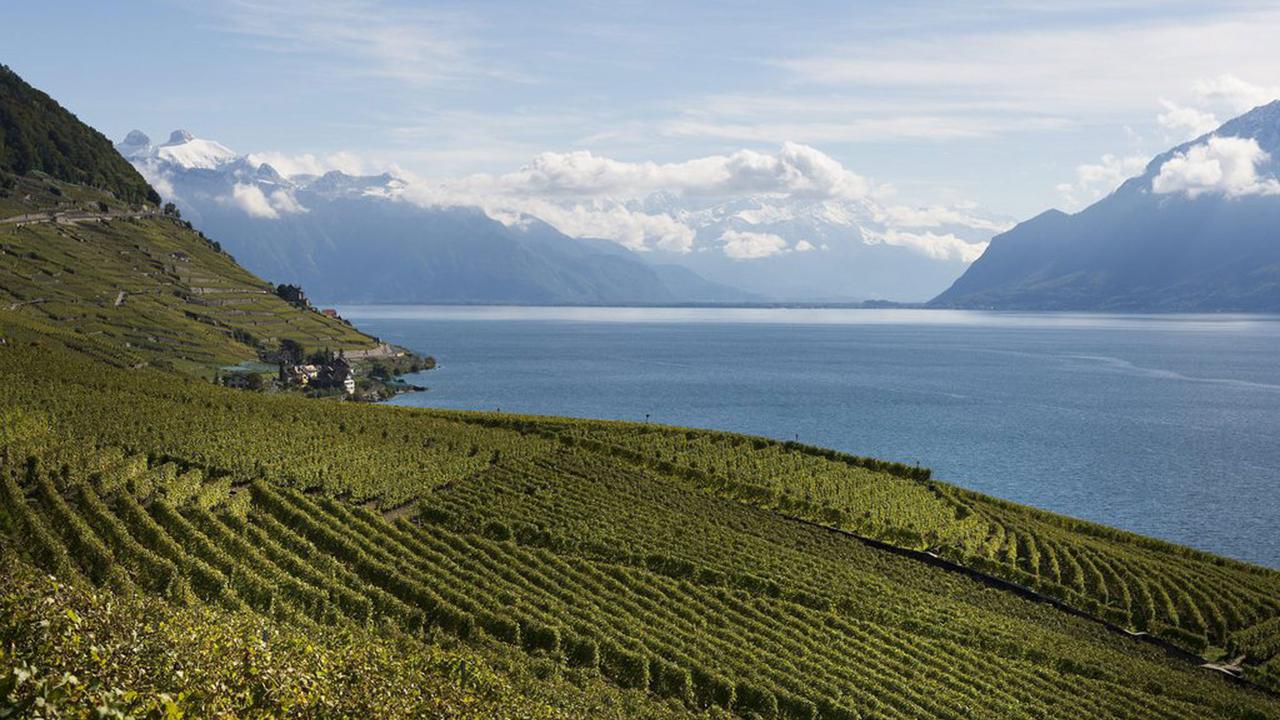 Le Lavaux est inscrit au patrimoine mondial de l'UNESCO. [Jean-Christophe Bott]