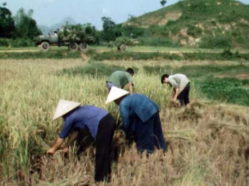Les difficultés de l'après-guerre dans le Vietnam réunifié.