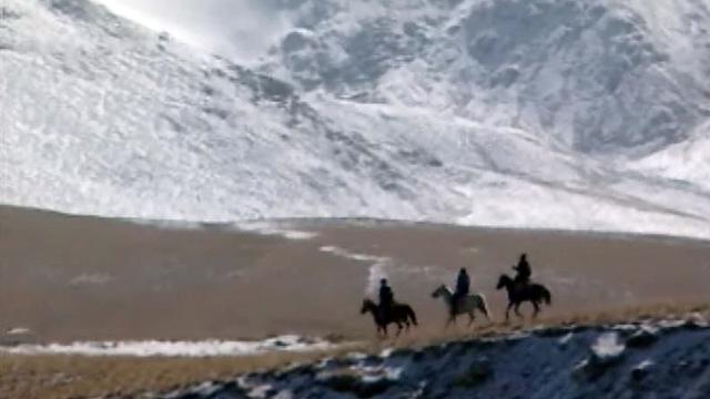 Voyage au Kirghizistan sur les traces du petit cheval Prjevalski.