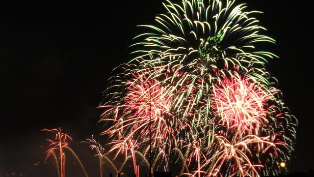 Feux d'ouverture des fêtes de Genève sous la pluie, vus du Bois de la Bâtie. [Daniel Simon]