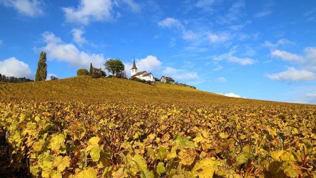 Vinzel (VD), vers 15 heures. [Christian Greutert]