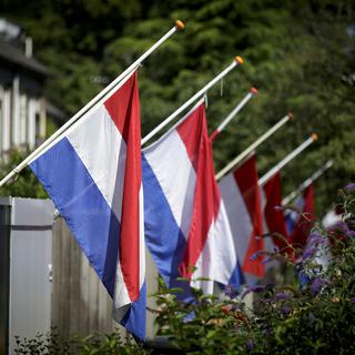 Les drapeaux sont en berne aux Pays-Bas depuis le drame. [AP/Phil Nijhuis]