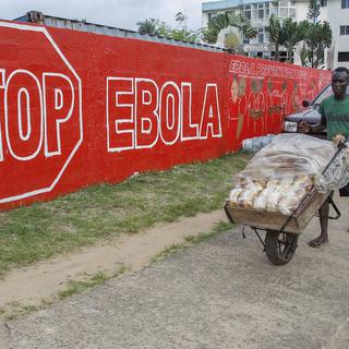 Comment comprendre Ebola et ses menaces? [Ahmed Jallanzo]