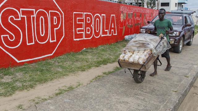 Comment comprendre Ebola et ses menaces? [Ahmed Jallanzo]